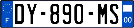 DY-890-MS