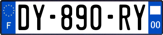 DY-890-RY