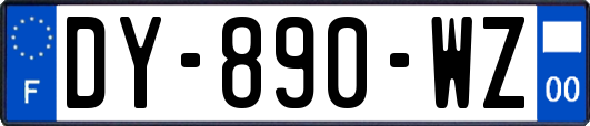 DY-890-WZ