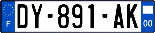 DY-891-AK