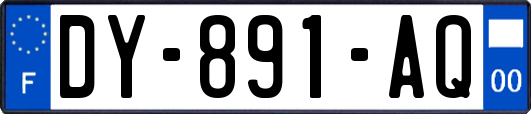 DY-891-AQ