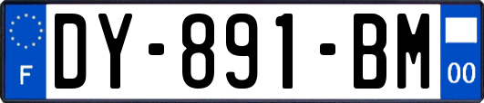 DY-891-BM