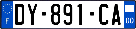 DY-891-CA