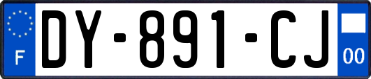 DY-891-CJ