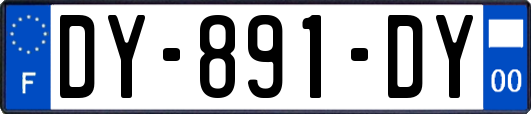 DY-891-DY