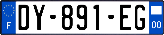 DY-891-EG