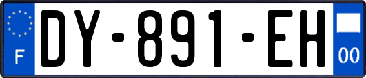 DY-891-EH