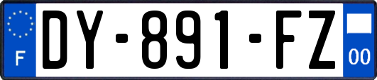 DY-891-FZ