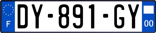 DY-891-GY