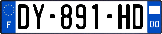 DY-891-HD