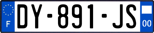 DY-891-JS