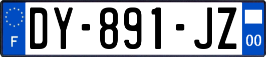 DY-891-JZ