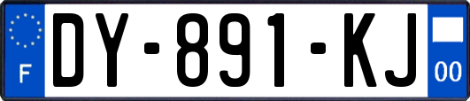 DY-891-KJ