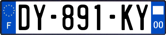 DY-891-KY