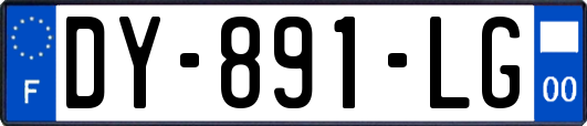 DY-891-LG