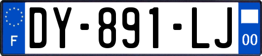 DY-891-LJ