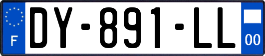 DY-891-LL