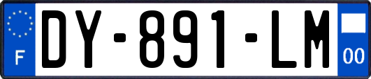 DY-891-LM
