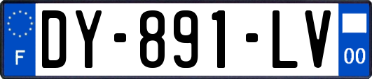 DY-891-LV