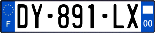 DY-891-LX