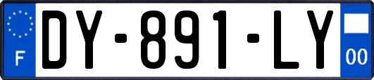 DY-891-LY