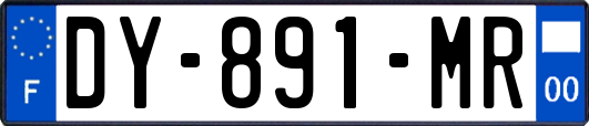 DY-891-MR