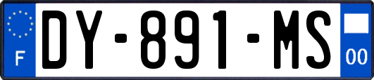 DY-891-MS