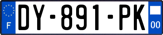 DY-891-PK