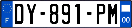 DY-891-PM