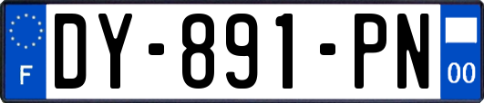 DY-891-PN