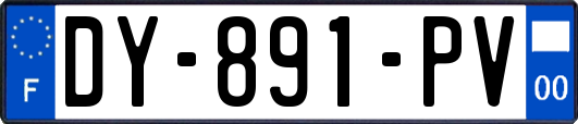 DY-891-PV