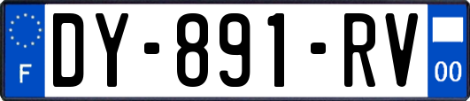 DY-891-RV