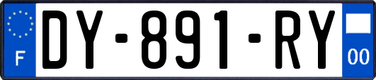 DY-891-RY