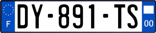 DY-891-TS