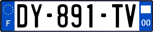 DY-891-TV