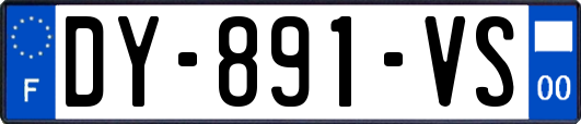 DY-891-VS