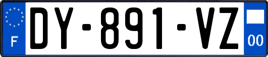 DY-891-VZ