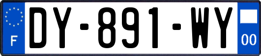 DY-891-WY