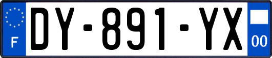 DY-891-YX