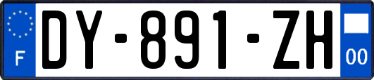 DY-891-ZH