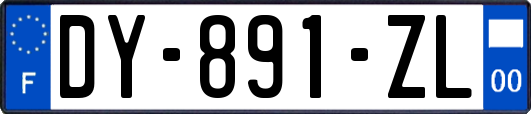 DY-891-ZL