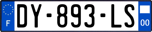 DY-893-LS