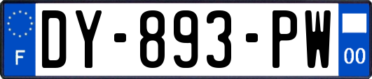 DY-893-PW