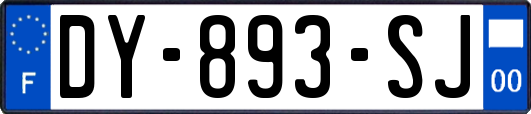 DY-893-SJ