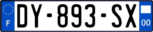 DY-893-SX