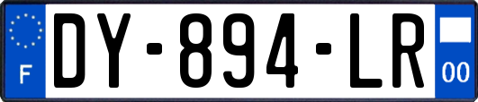 DY-894-LR