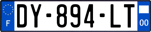 DY-894-LT