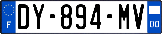 DY-894-MV