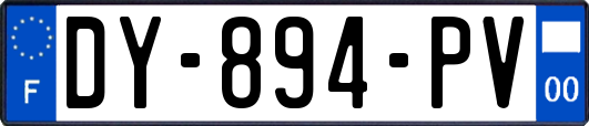 DY-894-PV