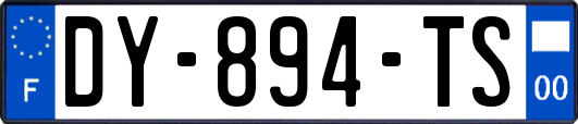 DY-894-TS